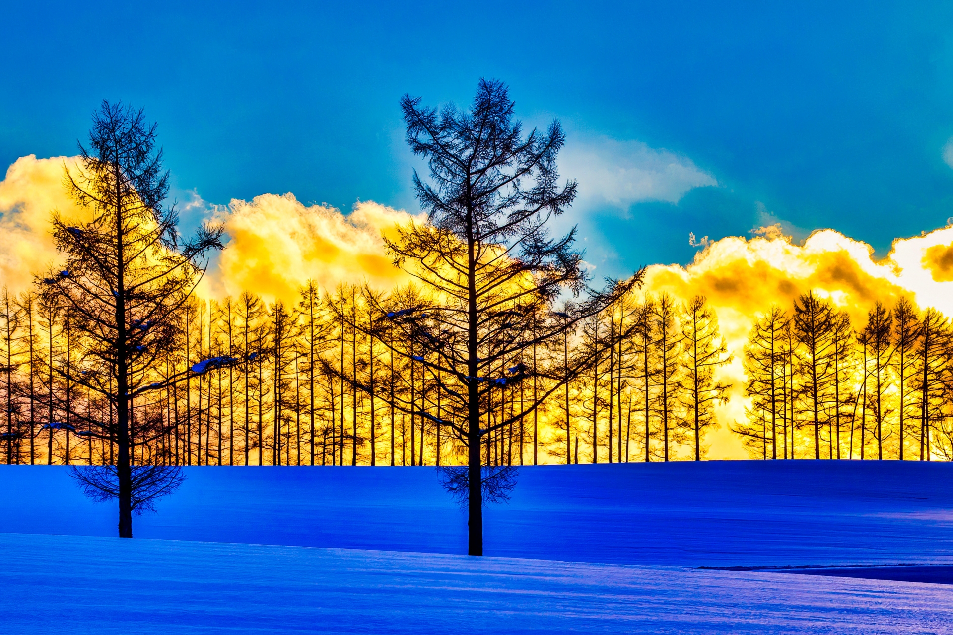 冬の北海道に持っていくマストな小物＆便利グッズ