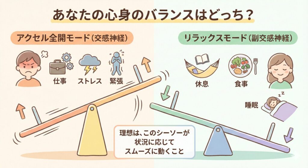 自律神経のバランスをシーソーに例えた図。左側が活動モードの交感神経、右側がリラックスモードの副交感神経で、ストレスが多いと左側に傾きすぎてしまうことを示している。