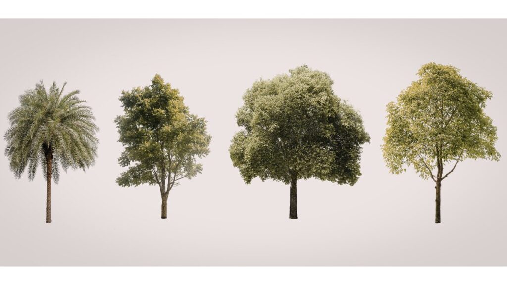 BAKUNEパジャマをプレゼントする相手の体型別の特徴